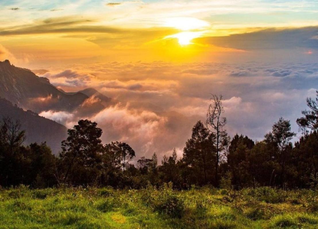 Cloud Walk Bed & Breakfast Kodaikanal Luaran gambar