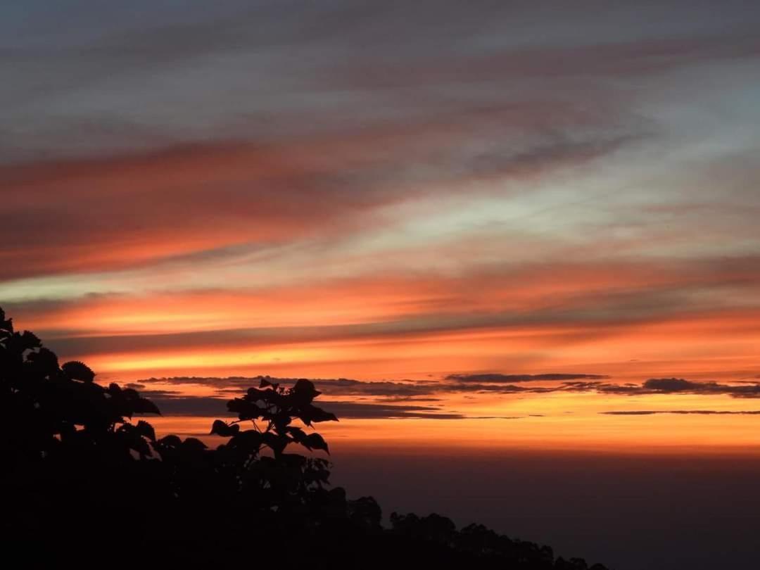 Cloud Walk Bed & Breakfast Kodaikanal Luaran gambar