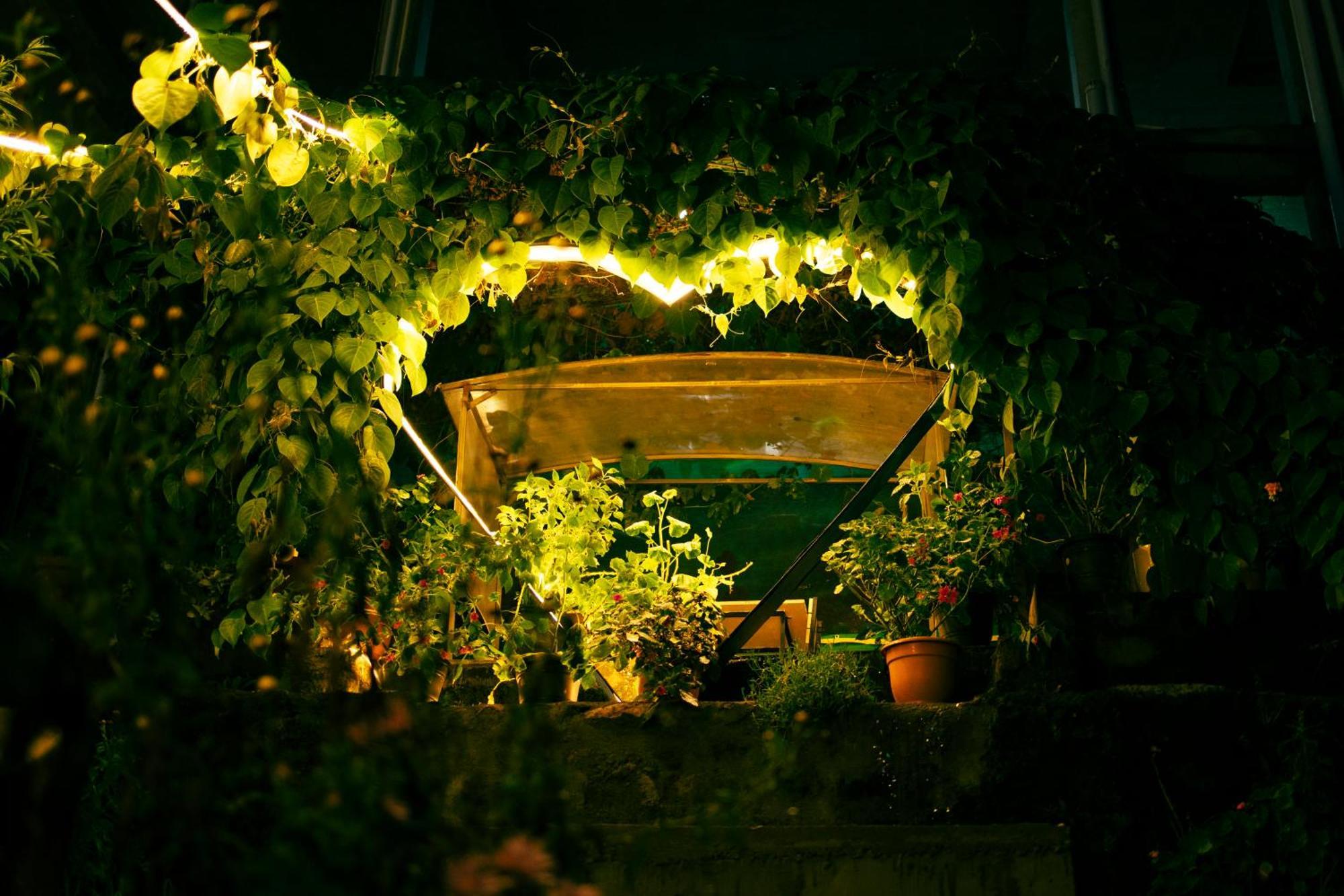 Cloud Walk Bed & Breakfast Kodaikanal Luaran gambar